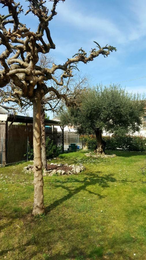 Villa Bracci Molinaccio Exteriör bild